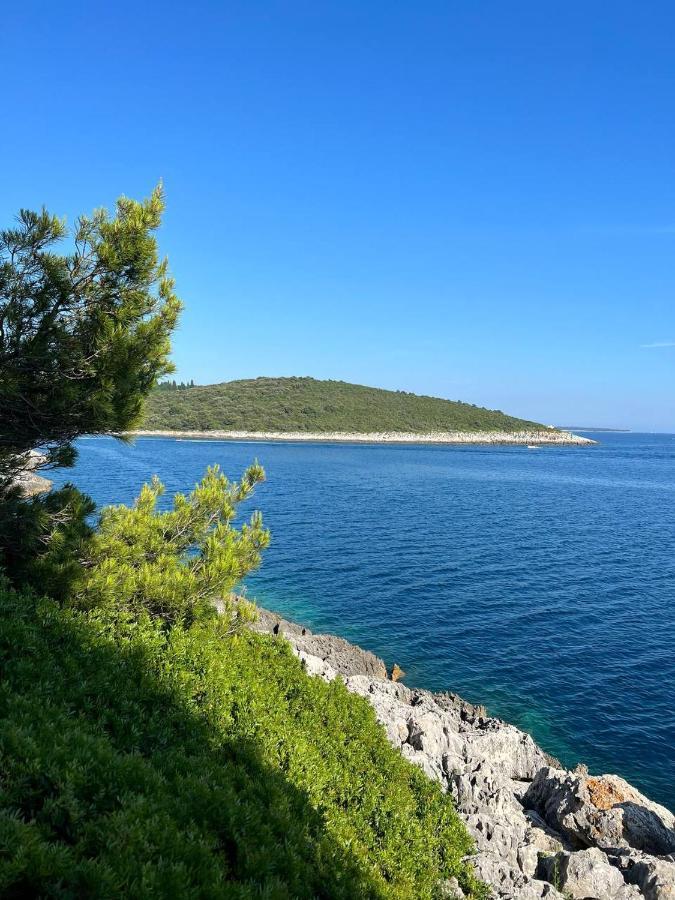 Domus Maria With Swimming Pool And Free Parking Villa Banjole Exteriör bild